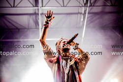 Foto concerto live Crystal Fighters TODAYS 
Torino, 26 27 28 agosto 
