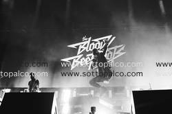 Foto concerto live THE BLOODY BEETROOTS LIVE  
Home Festival 
Treviso 
31 agosto 2017