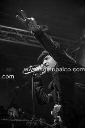 Foto concerto live Jack Daniel's On Tour 
Hiroshima Mon Amour 
Torino, 10 Novembre 2012