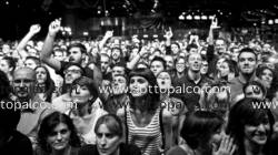 Foto concerto live PUBBLICO 
Hai Paura del buio? 
Alcatraz 
Milano 30 ottobre 2013